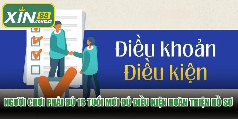 Người chơi phải đủ 18 tuổi mới đủ điều kiện hoàn thiện hồ sơ game