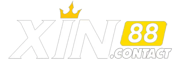 https://xin88.contact